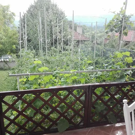 빌라 Panorama *