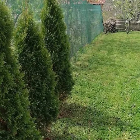 Villa Panorama *